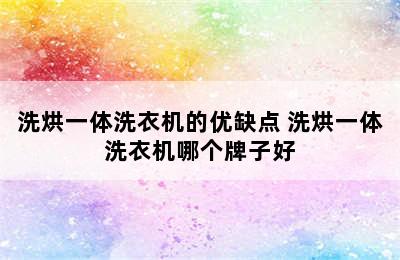 洗烘一体洗衣机的优缺点 洗烘一体洗衣机哪个牌子好